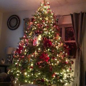 Meet your Posher, Vianey